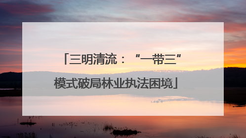 三明清流：“一带三”模式破局林业执法困境