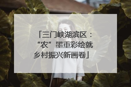 三门峡湖滨区：“农”墨重彩绘就乡村振兴新画卷