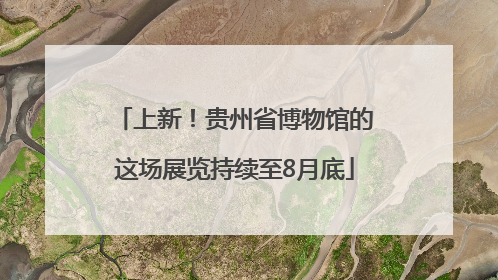 上新！贵州省博物馆的这场展览持续至8月底