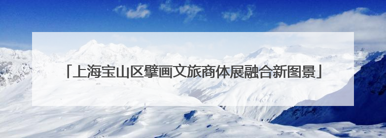 上海宝山区擘画文旅商体展融合新图景