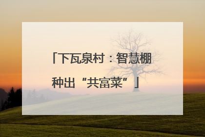 下瓦泉村：智慧棚种出“共富菜”