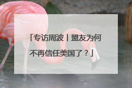 专访周波丨盟友为何不再信任美国了？