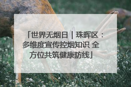世界无烟日｜珠晖区：多维度宣传控烟知识 全方位共筑健康防线