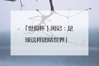 世俱杯｜闲记：足球这样团结世界