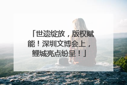 世遗绽放，版权赋能！深圳文博会上，鲤城亮点纷呈！