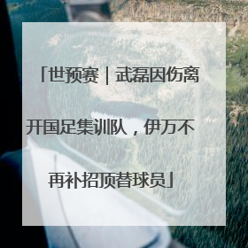 世预赛｜武磊因伤离开国足集训队，伊万不再补招顶替球员