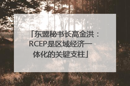 东盟秘书长高金洪：RCEP是区域经济一体化的关键支柱