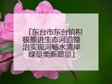 东台市东台镇积极推进生态河道整治实现河畅水清岸绿景美新愿景
