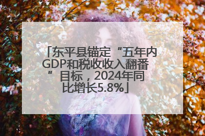 东平县锚定“五年内GDP和税收收入翻番”目标，2024年同比增长5.8%