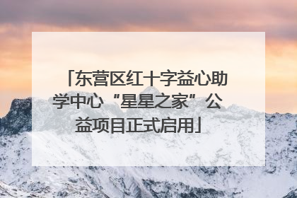 东营区红十字益心助学中心“星星之家”公益项目正式启用