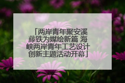 两岸青年聚安溪 藤铁为媒绘新篇 海峡两岸青年工艺设计创新主题活动开幕