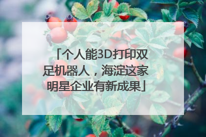 个人能3D打印双足机器人，海淀这家明星企业有新成果