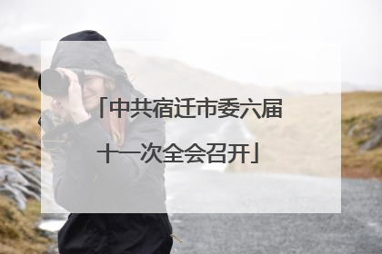 中共宿迁市委六届十一次全会召开