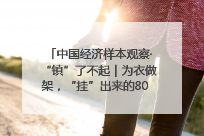 中国经济样本观察·“镇”了不起｜为衣做架，“挂”出来的80亿元“衣架产业”