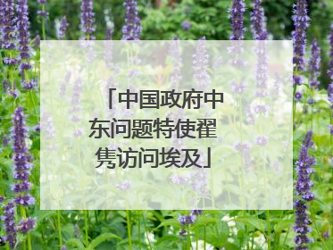 中国政府中东问题特使翟隽访问埃及
