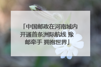 中国邮政在河南域内开通首条洲际航线 豫邮牵手 拥抱世界