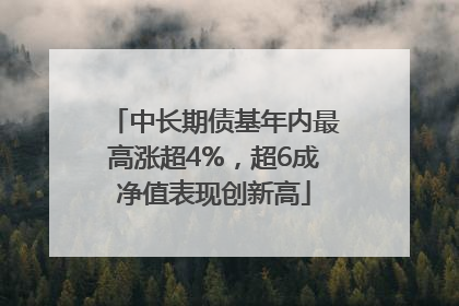 中长期债基年内最高涨超4%，超6成净值表现创新高