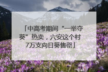 中高考期间“一举夺葵”热卖，六安这个村7万支向日葵售罄