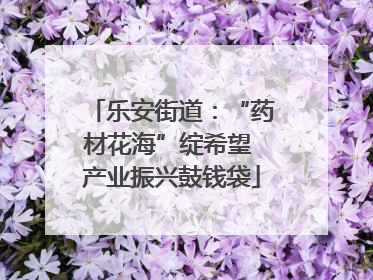 乐安街道：“药材花海”绽希望 产业振兴鼓钱袋