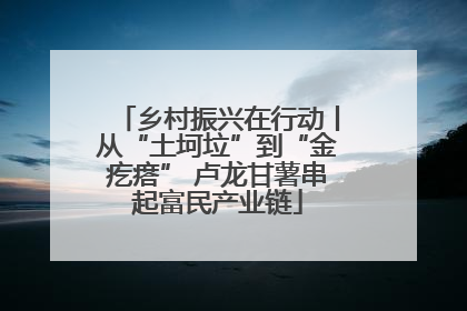 乡村振兴在行动丨从“土坷垃”到“金疙瘩” 卢龙甘薯串起富民产业链