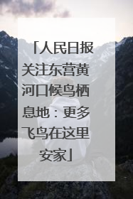 人民日报关注东营黄河口候鸟栖息地：更多飞鸟在这里安家