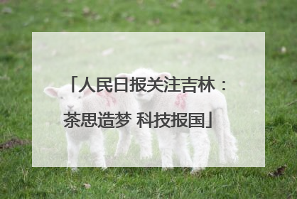 人民日报关注吉林：茶思造梦 科技报国
