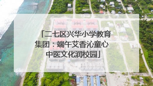 二七区兴华小学教育集团：端午艾香沁童心 中医文化润校园