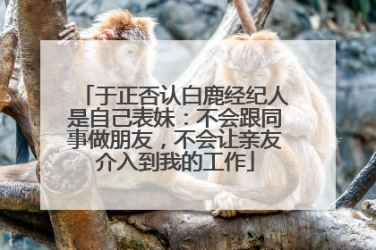 于正否认白鹿经纪人是自己表妹：不会跟同事做朋友，不会让亲友介入到我的工作