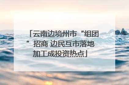 云南边境州市“组团”招商 边民互市落地加工成投资热点