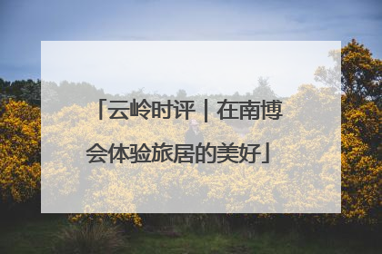云岭时评｜在南博会体验旅居的美好