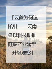 云蔗为何这样甜——云南省以科技助推蔗糖产业转型升级观察