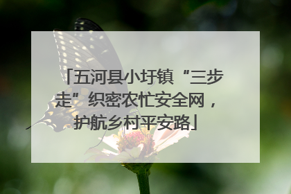 五河县小圩镇“三步走”织密农忙安全网，护航乡村平安路