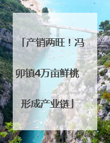 产销两旺！冯卯镇4万亩鲜桃形成产业链