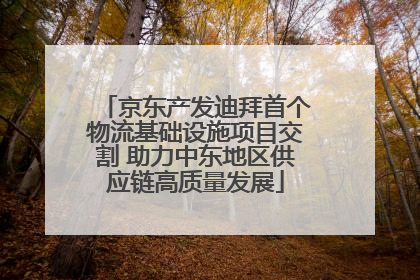 京东产发迪拜首个物流基础设施项目交割 助力中东地区供应链高质量发展