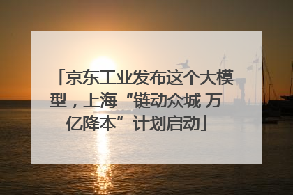 京东工业发布这个大模型，上海“链动众城 万亿降本”计划启动