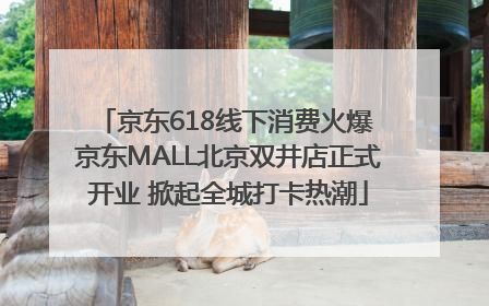 京东618线下消费火爆 京东MALL北京双井店正式开业 掀起全城打卡热潮