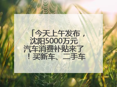 今天上午发布，沈阳5000万元汽车消费补贴来了！买新车、二手车都能领！