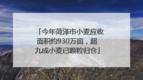 今年菏泽市小麦应收面积约930万亩，超九成小麦已颗粒归仓