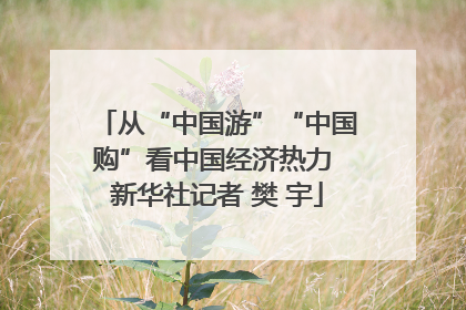 从“中国游”“中国购”看中国经济热力 新华社记者 樊 宇