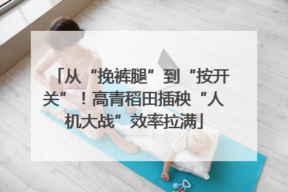 从“挽裤腿”到“按开关”！高青稻田插秧“人机大战”效率拉满
