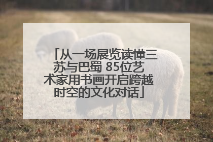 从一场展览读懂三苏与巴蜀 85位艺术家用书画开启跨越时空的文化对话