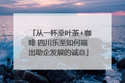 从一杯桑叶茶+咖啡 四川乐至如何端出助企发展的诚意