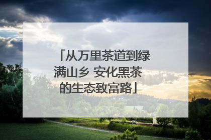 从万里茶道到绿满山乡 安化黑茶的生态致富路