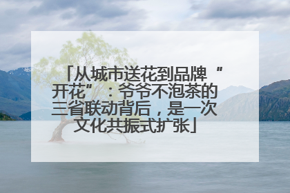 从城市送花到品牌“开花”：爷爷不泡茶的三省联动背后，是一次文化共振式扩张