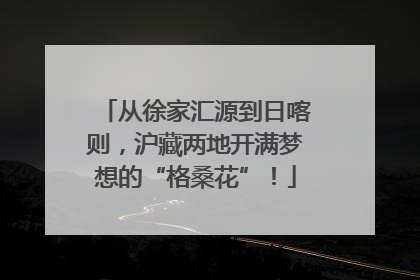 从徐家汇源到日喀则，沪藏两地开满梦想的“格桑花”！
