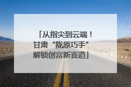 从指尖到云端！甘肃“陇原巧手”解锁创富新赛道
