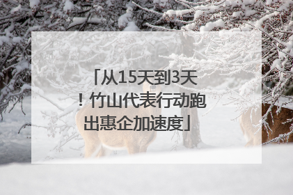 从15天到3天！竹山代表行动跑出惠企加速度