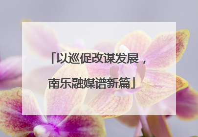 以巡促改谋发展，南乐融媒谱新篇