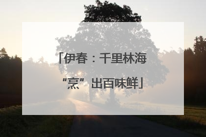 伊春：千里林海“烹”出百味鲜