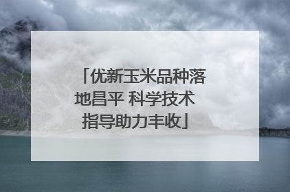 优新玉米品种落地昌平 科学技术指导助力丰收